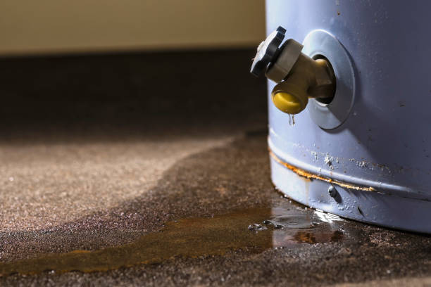 Best Water damage cleanup near me  in Epworth, IA
