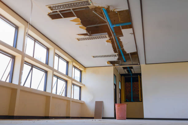 Best Flooded house restoration  in Epworth, IA
