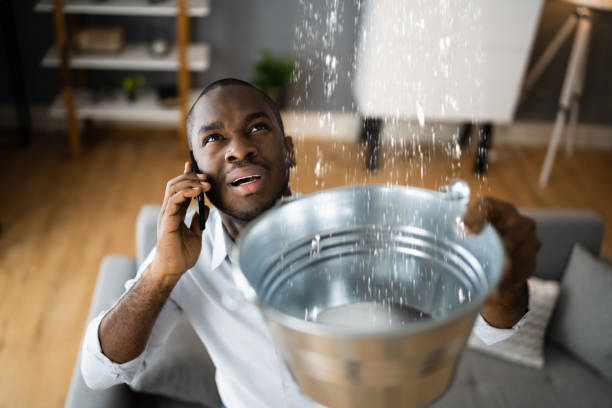 Best Mold removal after water damage  in Epworth, IA