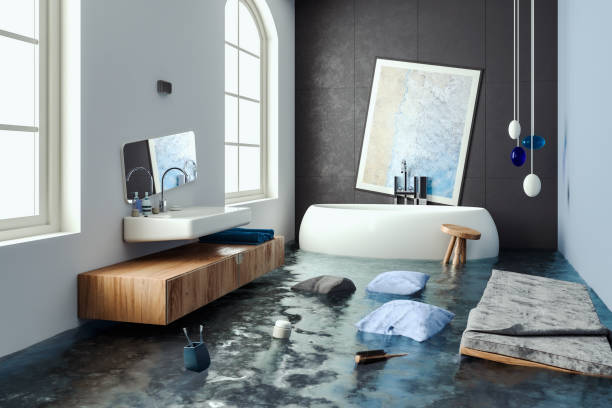 Best Professional water damage repair  in Epworth, IA