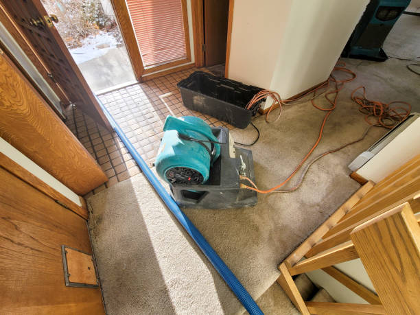Best Water damage restoration process  in Epworth, IA