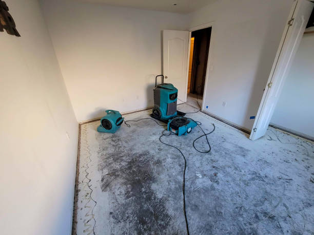  Epworth, IA Water damage restoration Pros