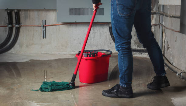 Best 24-hour water damage restoration  in Epworth, IA