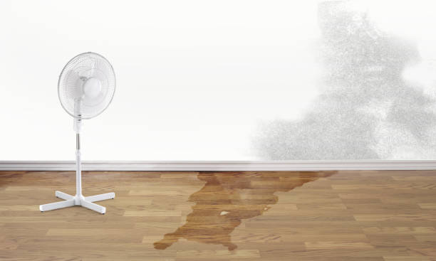 Best Basement water damage restoration  in Epworth, IA