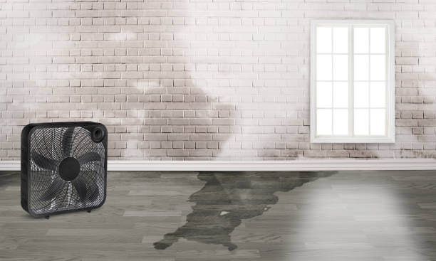 Best Residential water damage restoration  in Epworth, IA