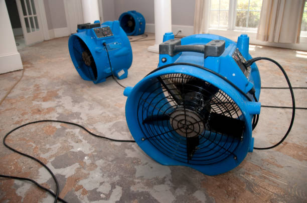 Best Water damage contractors near me  in Epworth, IA