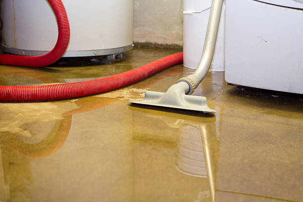 Best Sewage cleanup and water damage restoration  in Epworth, IA