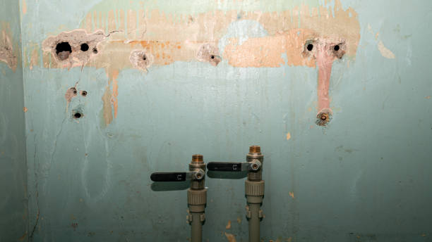 Best Emergency water damage restoration  in Epworth, IA
