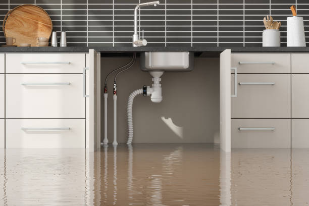 Best Emergency water damage restoration  in Epworth, IA