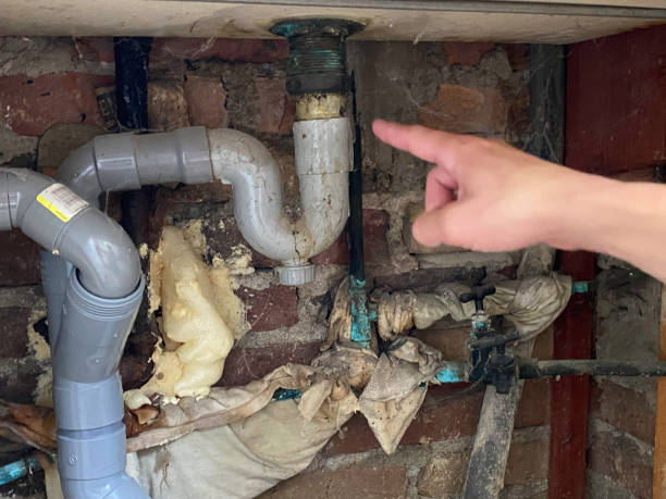 Best Basement water damage restoration  in Epworth, IA