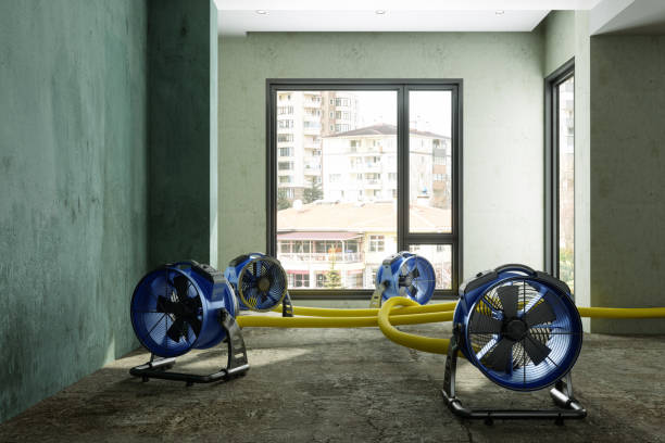 Best Flood restoration services  in Epworth, IA