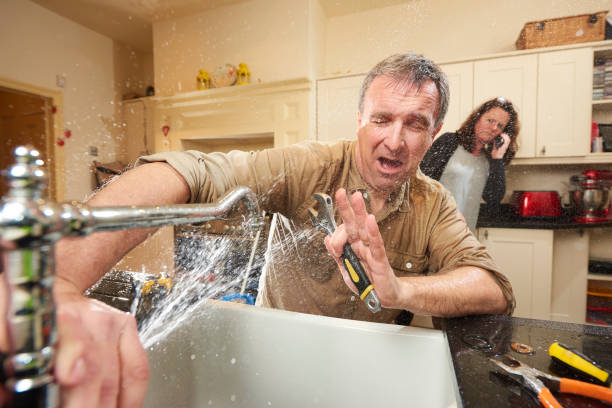 Best Flood restoration services  in Epworth, IA